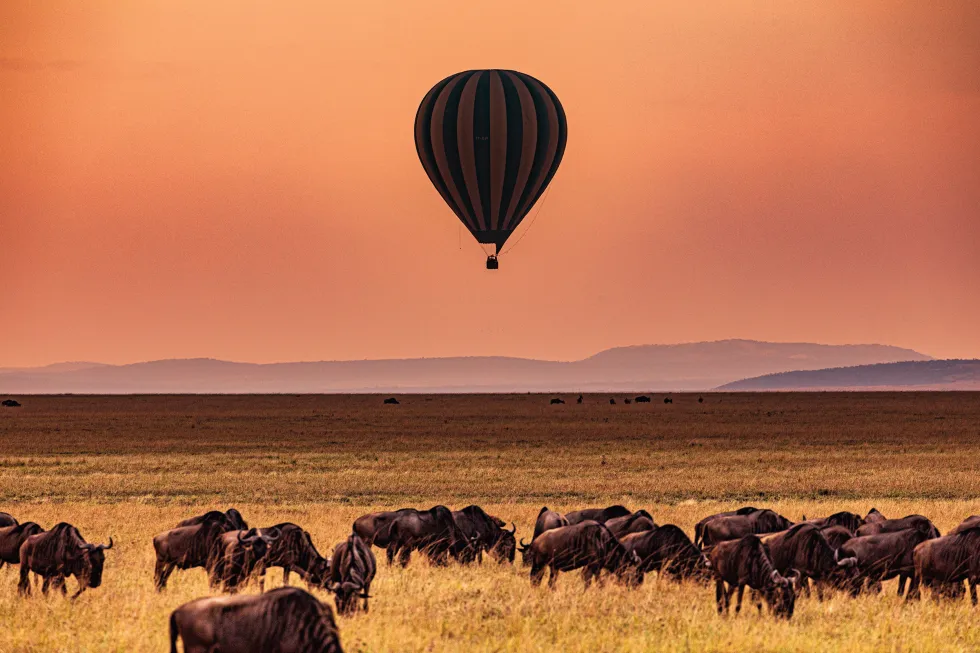 Bilde av Maasai Mara National Reserve 