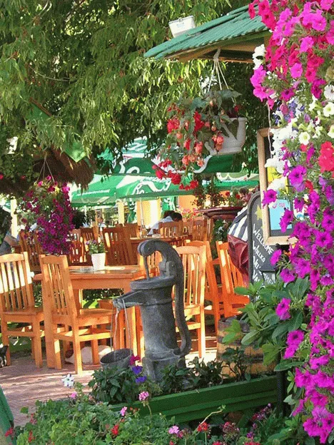 Bilde av Mamaia