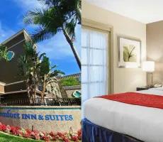 Hotellbilder av Comfort Inn and Suites Zoo Seaworld Area - nummer 1 av 98