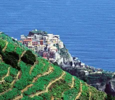 Hotellbilder av Vandreferie i Cinque Terre - 8 dager - nummer 1 av 4