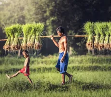 Thailand har blitt mer eksotisk