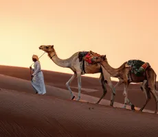 Afrika på nært hold