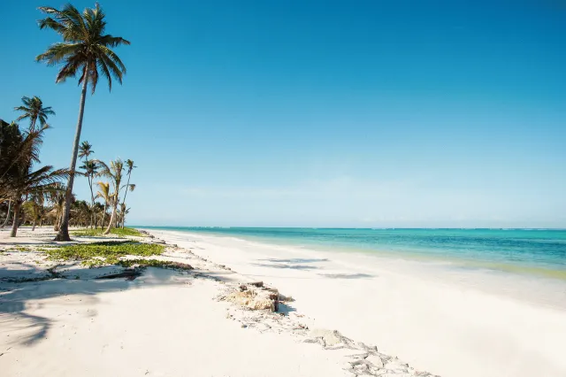 Hotellbilder av Baraza Resort & Spa - nummer 1 av 46