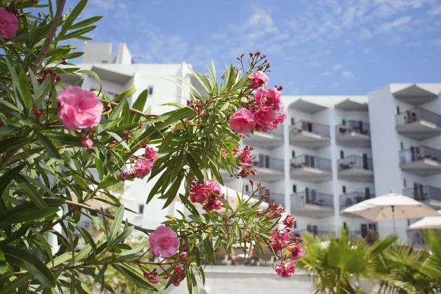 Hotellbilder av FERGUS Bermudas - nummer 1 av 43