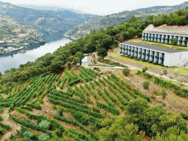 Hotellbilder av Douro Palace Hotel Resort SPA - nummer 1 av 10