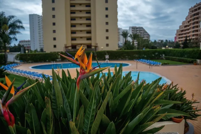 Hotellbilder av Apartamentos Turisticos Flor da Rocha - nummer 1 av 10