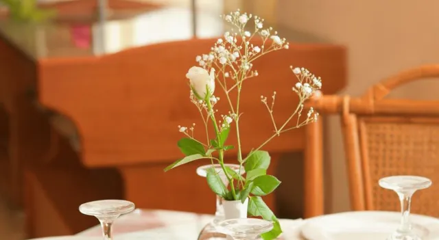 Hotellbilder av Dedalos Beach Hotel - nummer 1 av 100