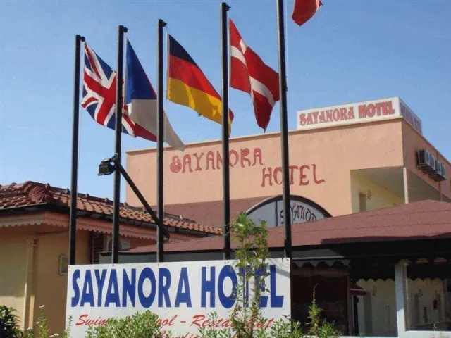 Hotellbilder av Sayanora Hotel & Park - nummer 1 av 38