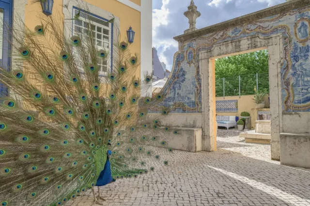 Hotellbilder av Solar Do Castelo, a Lisbon Heritage Collection - nummer 1 av 53