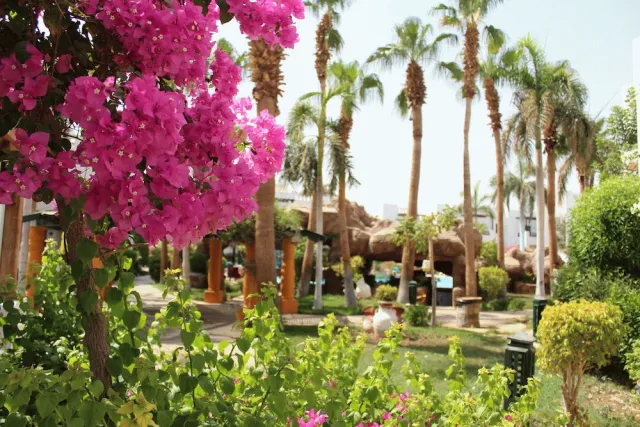 Hotellbilder av Herrmes Hospitality - nummer 1 av 22