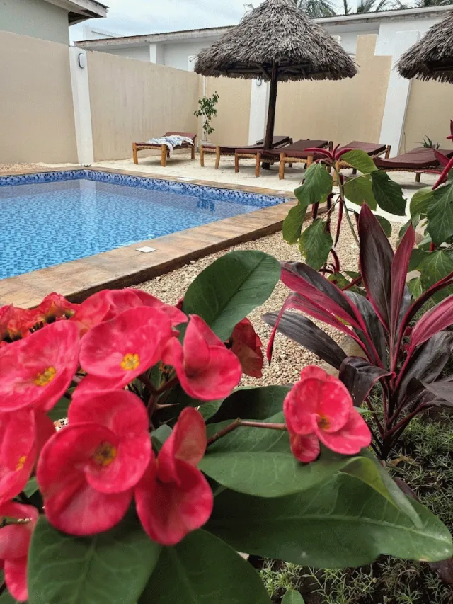 Hotellbilder av VILLA PEACE AND COLOR - nummer 1 av 52