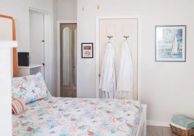 Hotellbilder av The Palms Hideaway - nummer 1 av 12