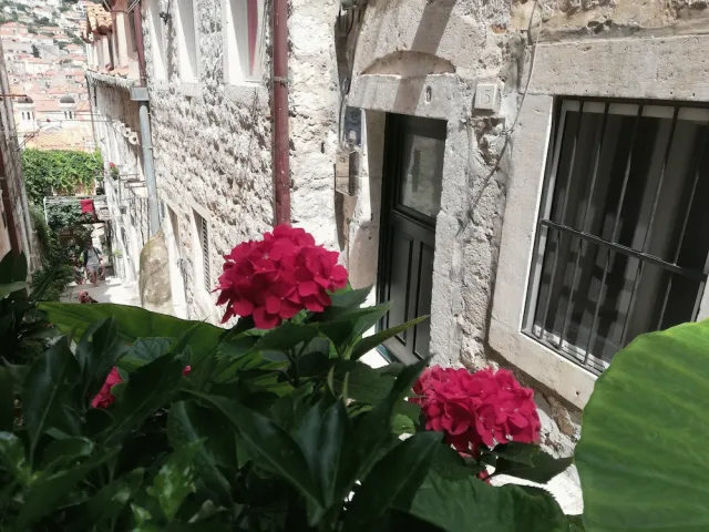 Hotellbilder av Apartment Dubrovnik-Center - nummer 1 av 23