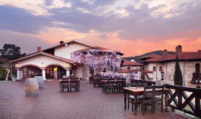 Hotellbilder av Vinifera Vineyards Hotel - nummer 1 av 100