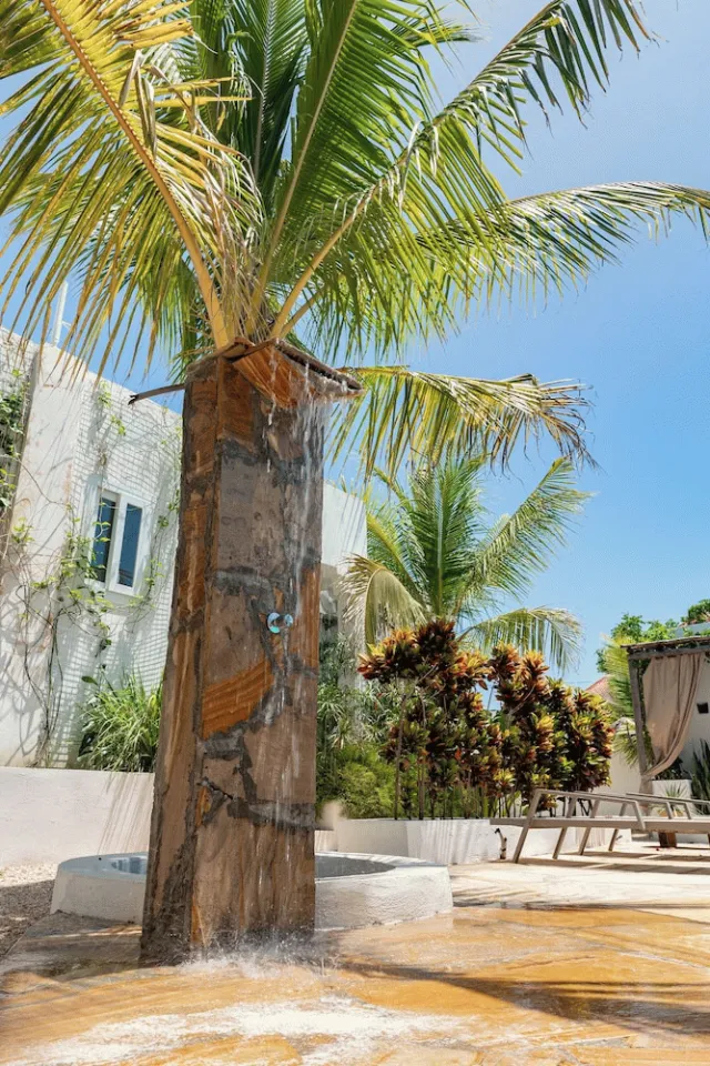Hotellbilder av Cactus Lodge Zanzibar - nummer 1 av 24