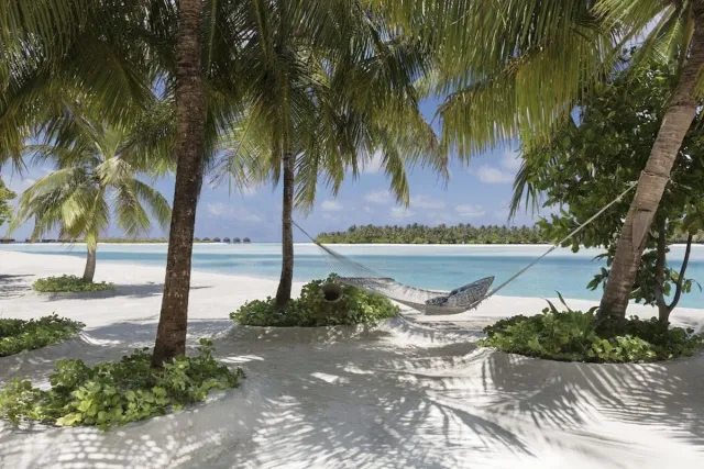 Hotellbilder av Naladhu Private Island Maldives - nummer 1 av 10