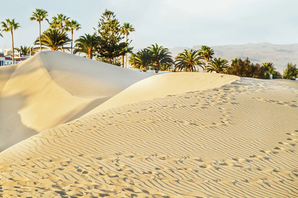 Sanddynene i Maspalomas blir ofte kalt Lille Sahara 