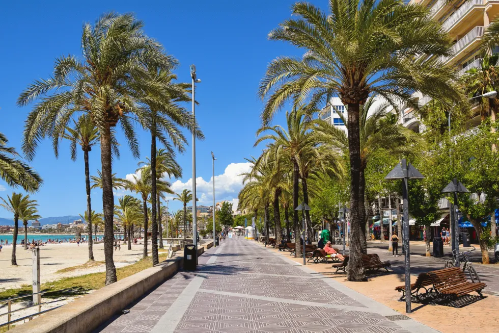 Den lange strandpromenaden med palmetrær i El Arenal  
