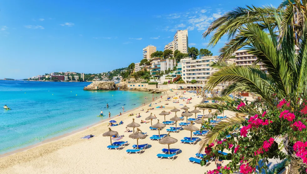 I Cala Mayor kan du bo på stranden med kort vei til Palma by 