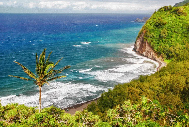 Hawaii har en energisk natur med store fargekontraster 