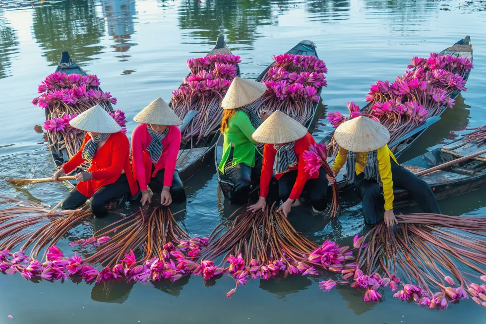 Bilde av Vietnam 